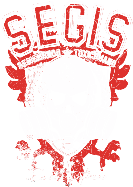 CAMISETA  NEGRA SEGISMUNDO